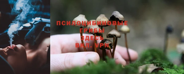 бошки Армянск