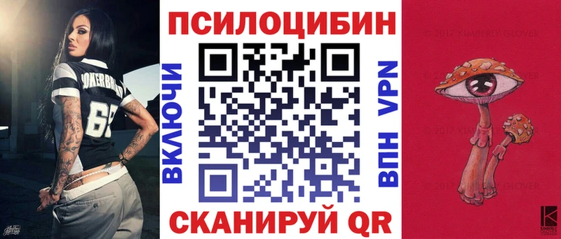 mega онион  Знаменск  Галлюциногенные грибы Psilocybe  где найти наркотики 